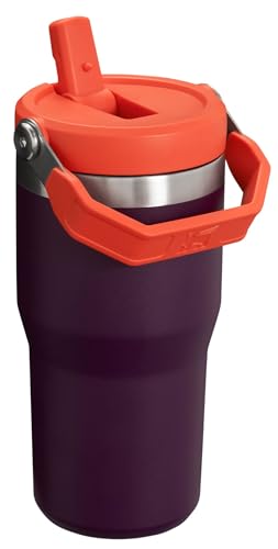 Stanley IceFlow Stainless Steel Tumbler - Vacuum Insulated Water Bottle for Home, Office or Car Reusable Cup with Straw Leak Resistant Flip Cold for 12 Hours or Iced for 2 Days, Plum, 20OZ
