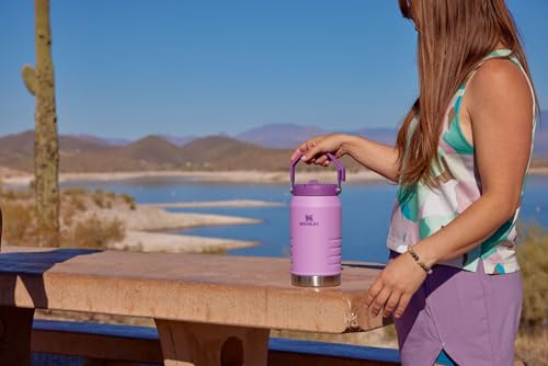Stanley IceFlow Stainless Steel Tumbler - Vacuum Insulated Water Bottle for Home, Office or Car Reusable Cup with Straw Leak Resistant Flip Cold for 12 Hours or Iced for 2 Days, Azure, 64OZ