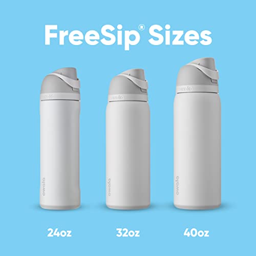 Owala FreeSip Insulated Stainless Steel Water Bottle with Straw for Sports and Travel, BPA-Free, 24-oz, Grayt