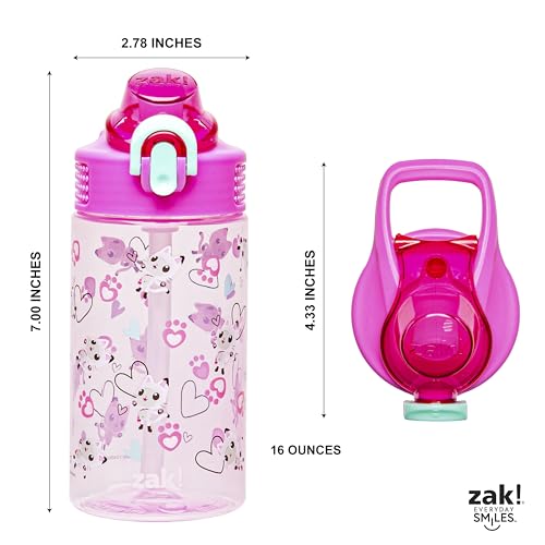 Zak Designs Sage DreamWorks Gabby's Dollhouse Kids Water Bottle For School or Travel, 16oz Durable Plastic Water Bottle With Straw, Handle, and Leak-Proof, Pop-Up Spout Cover (Pandy Paws)