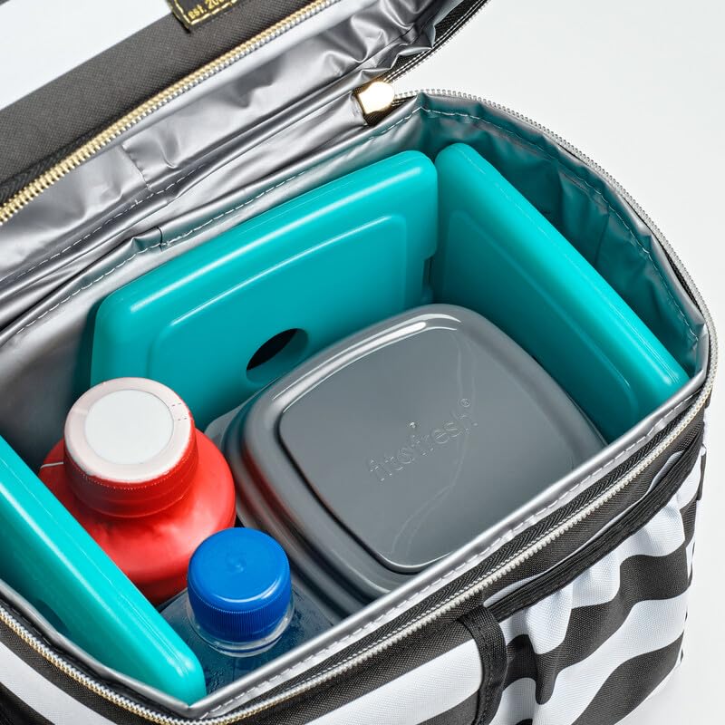 Cool Coolers by Fit + Fresh, Reusable & Long-Lasting Slim Ice Packs, Cold Packs for Lunch Boxes, Ice Packs for Lunch Bags, Green 8 Pack