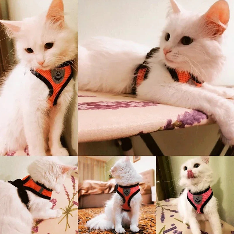 Adjustable Mesh Dog Harness Leash Set