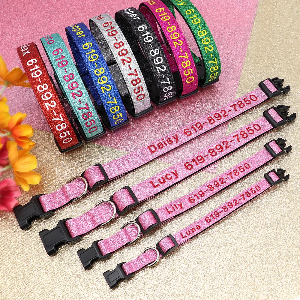 Adjustable Nylon Dog Collar with ID