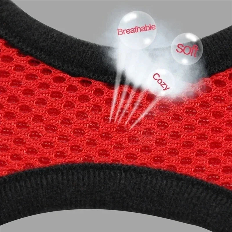 Adjustable Mesh Dog Harness Leash Set