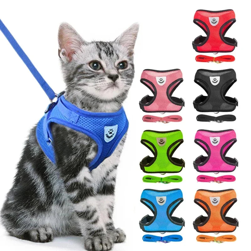 Adjustable Mesh Dog Harness Leash Set