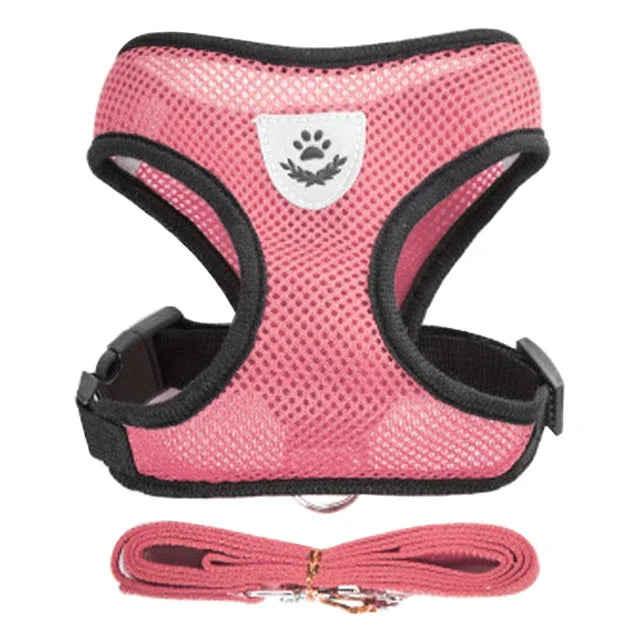 Adjustable Mesh Dog Harness Leash Set