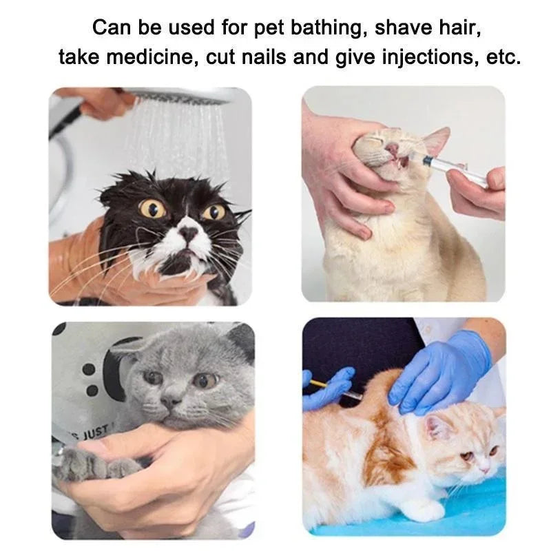 Adjustable Silicone Cat Foot Shoes