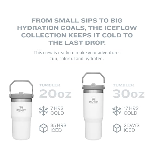 Stanley IceFlow Stainless Steel Tumbler - Vacuum Insulated Water Bottle for Home, Office or Car Reusable Cup with Straw Leak Resistant Flip Cold for 12 Hours or Iced for 2 Days, Pomelo, 20OZ