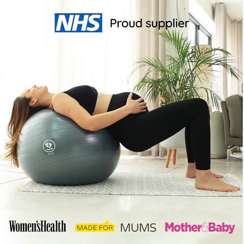 BABYGO Birthing Ball - Pregnancy Yoga Labor & Exercise Ball & Book Set Trimester Targeting, Maternity Physio, Birth & Recovery Plan Included Anti Burst Eco Friendly (Berry, 65cm - 4'8" - 5'10")
