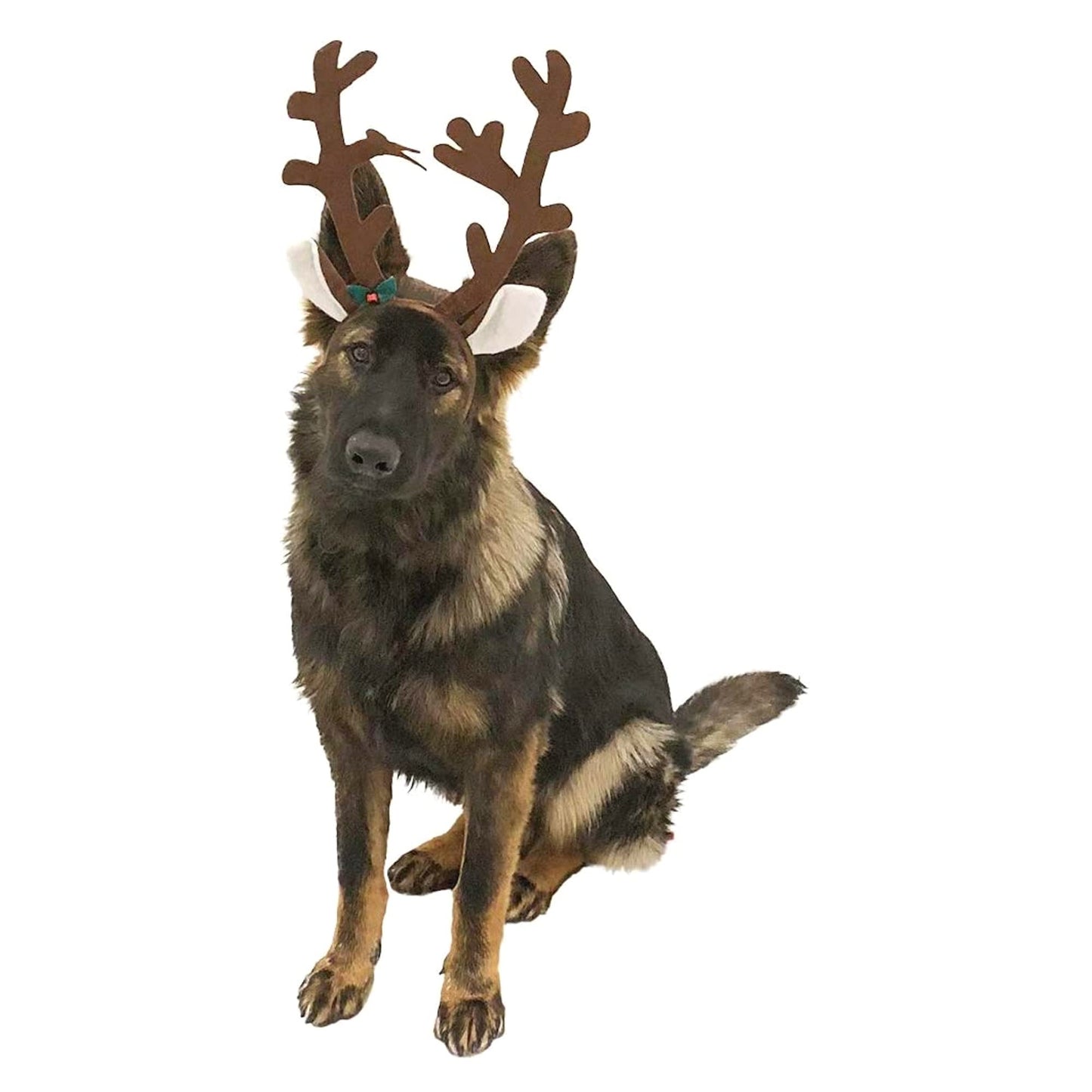 Midlee Brown Reindeer Dog Antlers Headband Pet Christmas Costume - Large