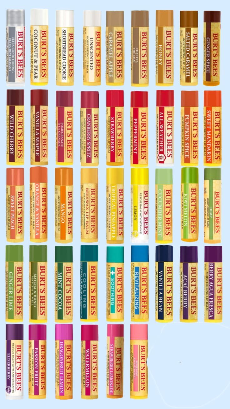 Burt's Bees 10 Pack Gift Set Lip Balm Assorted Mix Pack, 10 differnt flavors chosen at random