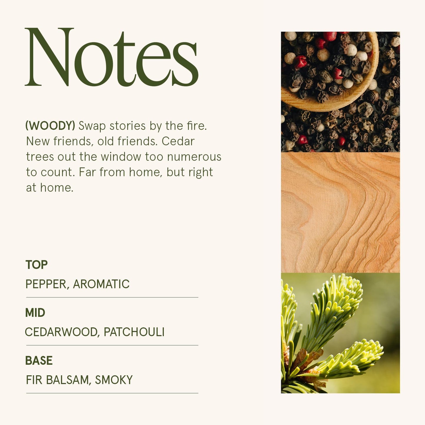 LA JOLIE MUSE Fir & Cedarwood Candle, Christmas Candles for Home Scented, Large 2-Wick Soy Candles, Luxury Jar Candle Gifts for Women & Men, 60 Hours Long Burning, Starlit Golden Fir, 12oz