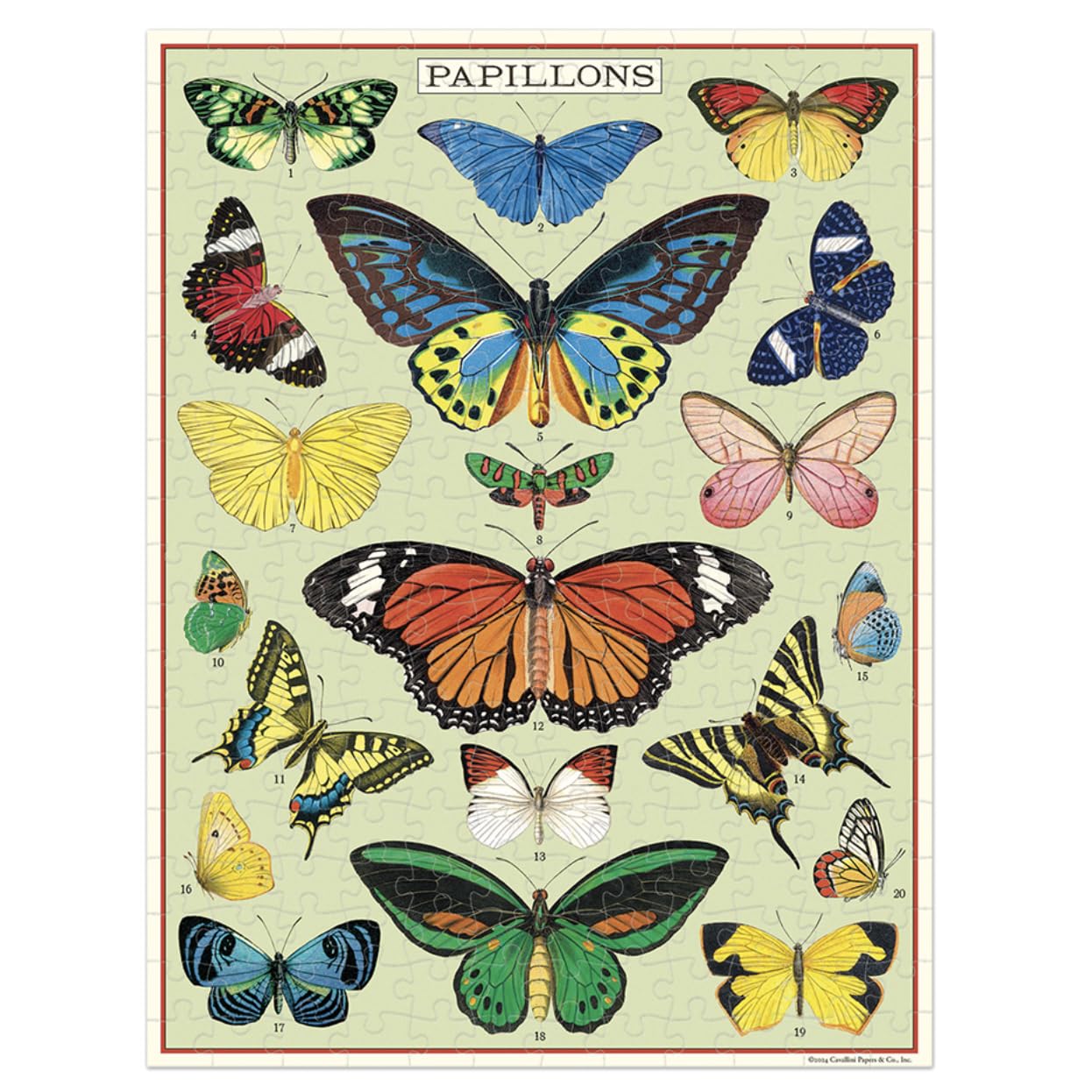 Cavallini Mini Puzzle, Butterflies, 240 Pieces