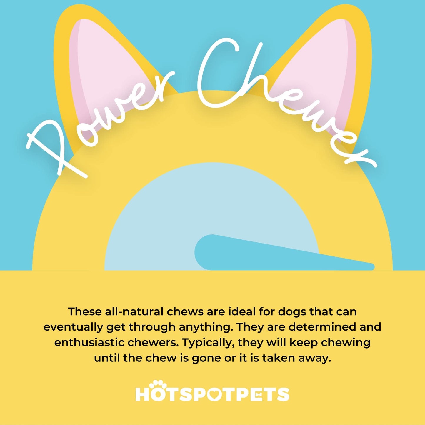 hotspot pets Premium Deer Antlers for Dogs - 7+ Inch Large Antler Dog Chews (2 Pack) Made in USA - Naturally Shed Antler Bone for Large Breed Aggressive Chewers - Promotes Dental Hygiene