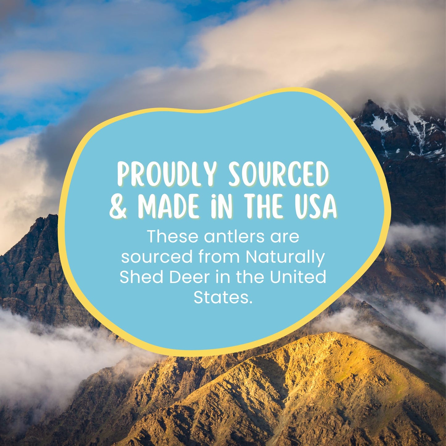 hotspot pets Premium Deer Antlers for Dogs - 7+ Inch Large Antler Dog Chews (2 Pack) Made in USA - Naturally Shed Antler Bone for Large Breed Aggressive Chewers - Promotes Dental Hygiene