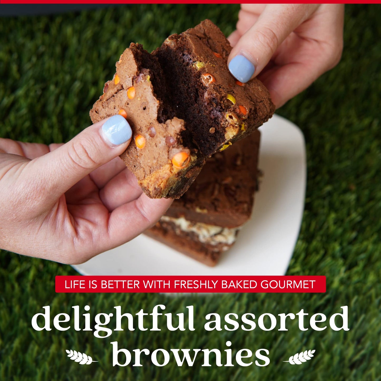 David's Cookies Assorted Brownies in Carton Box | Enjoy Our Delicious, Great for Sharing Freshly-Baked Assorted Brownie Snacks While Bonding With Friends And Family - Single Pack