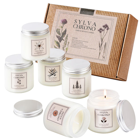 Scented Candle Gift Set for Women, Pet-Friendly 6-Pack Soy Wax Candles, 10% Essential Oils, Quick Diffusion, Long-Lasting Fragrance, 20-24H Burn, Ideal for Yoga, Relaxation, Stress Relief & Home Décor