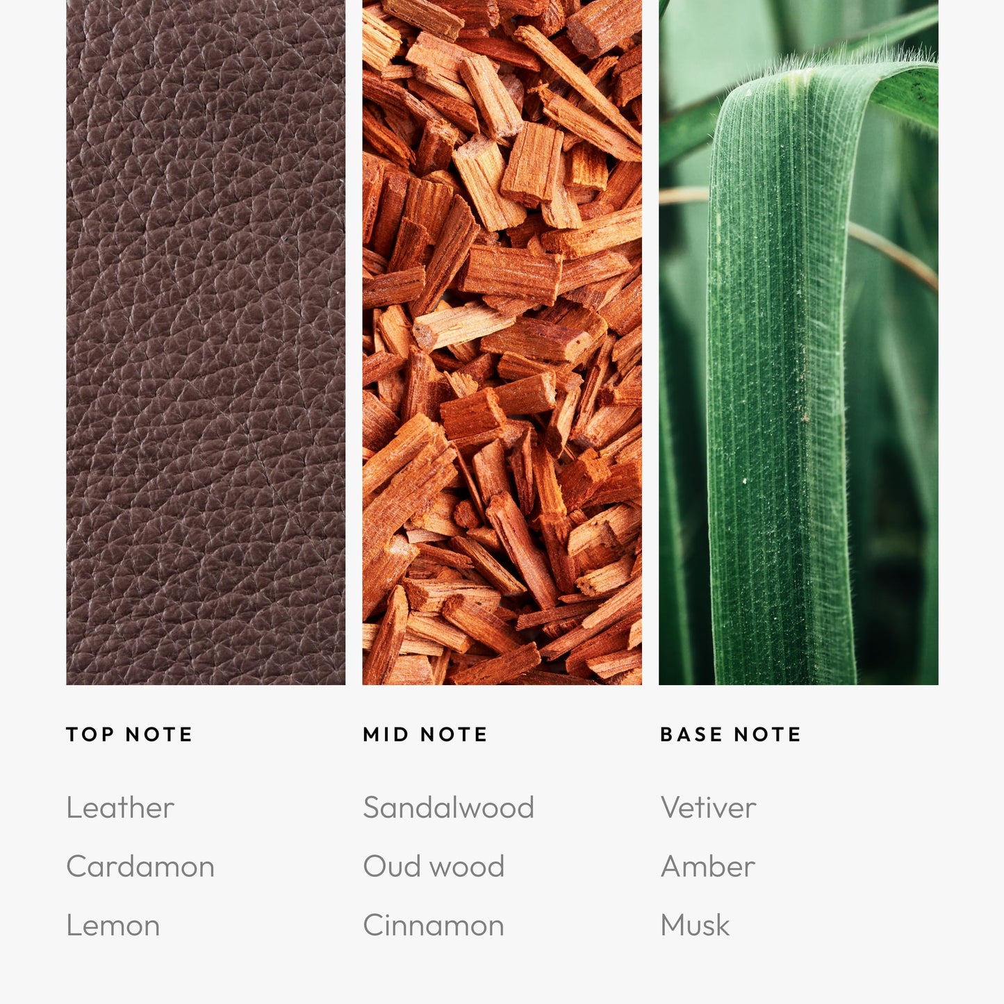 Aroma360 - My Way 11oz Candle - Luxury Scented Candles with Essential Oils - Lush Sandalwood, Warm Virginia Cedar & Iris - Aromatherapy - Soy Candles - 80hr Burn