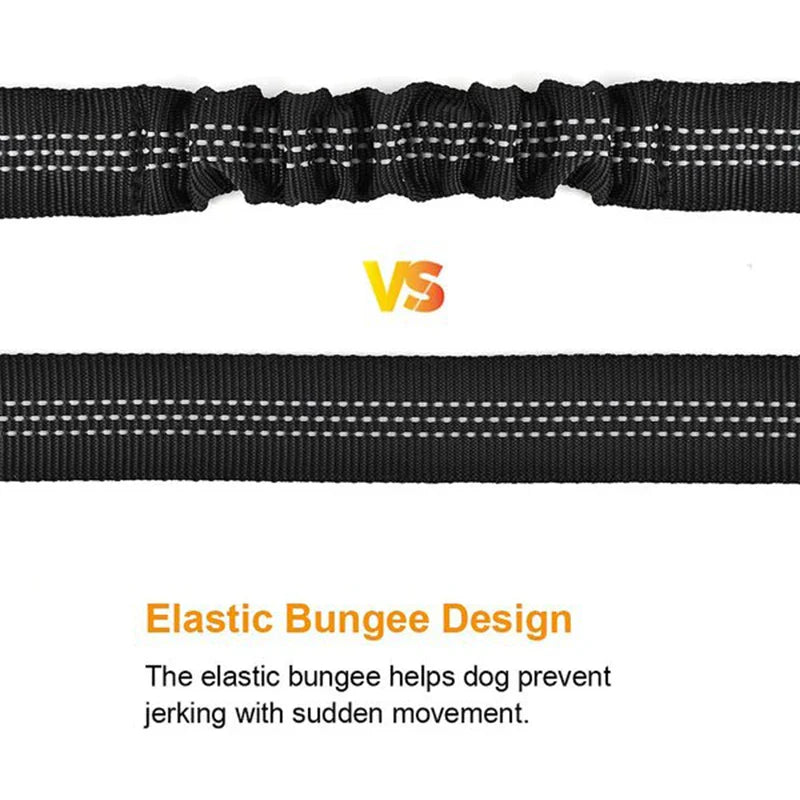 Adjustable Nylon Dog Seat Belt