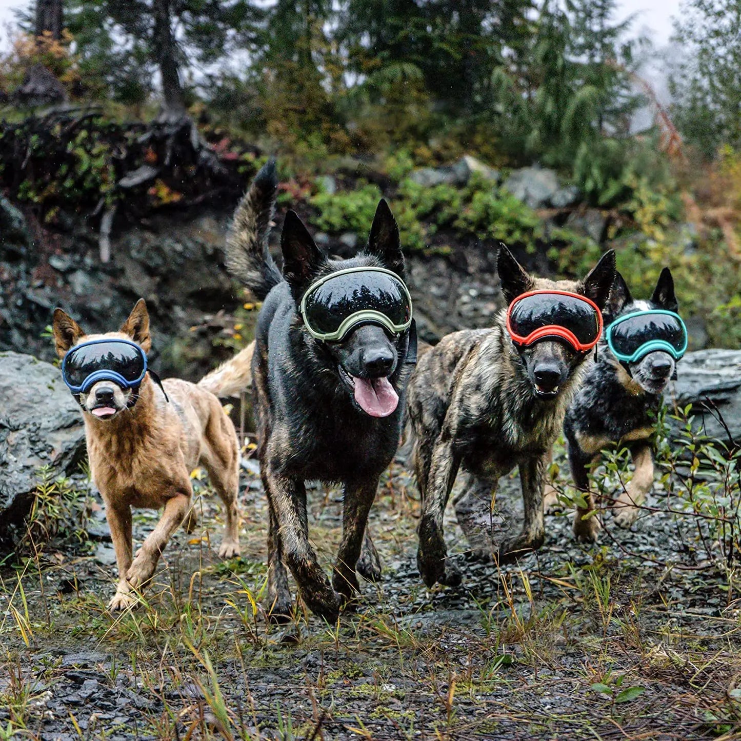 Adjustable Anti-UV Dog Goggles