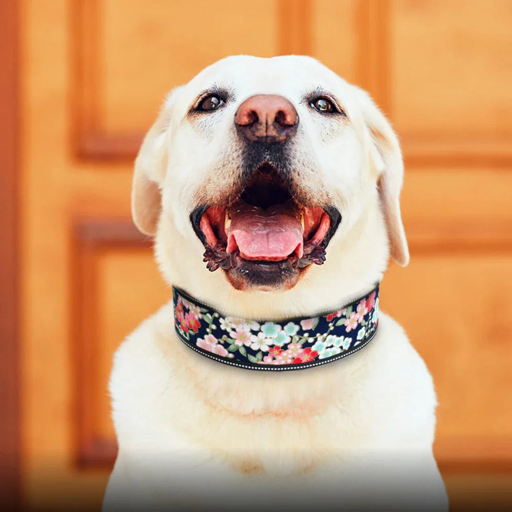 Adjustable Reflective Dog Collar Buckle