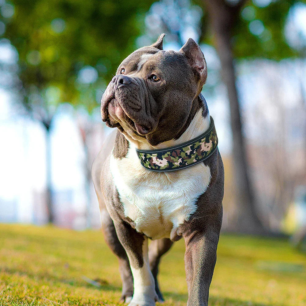 Adjustable Reflective Dog Collar Buckle
